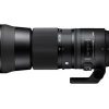 Sigma 150-600mm F/5-6.3 DG OS HSM Contemporary Nikon-3056