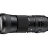 Sigma 150-600mm F/5-6.3 DG OS HSM Contemporary Nikon-3057