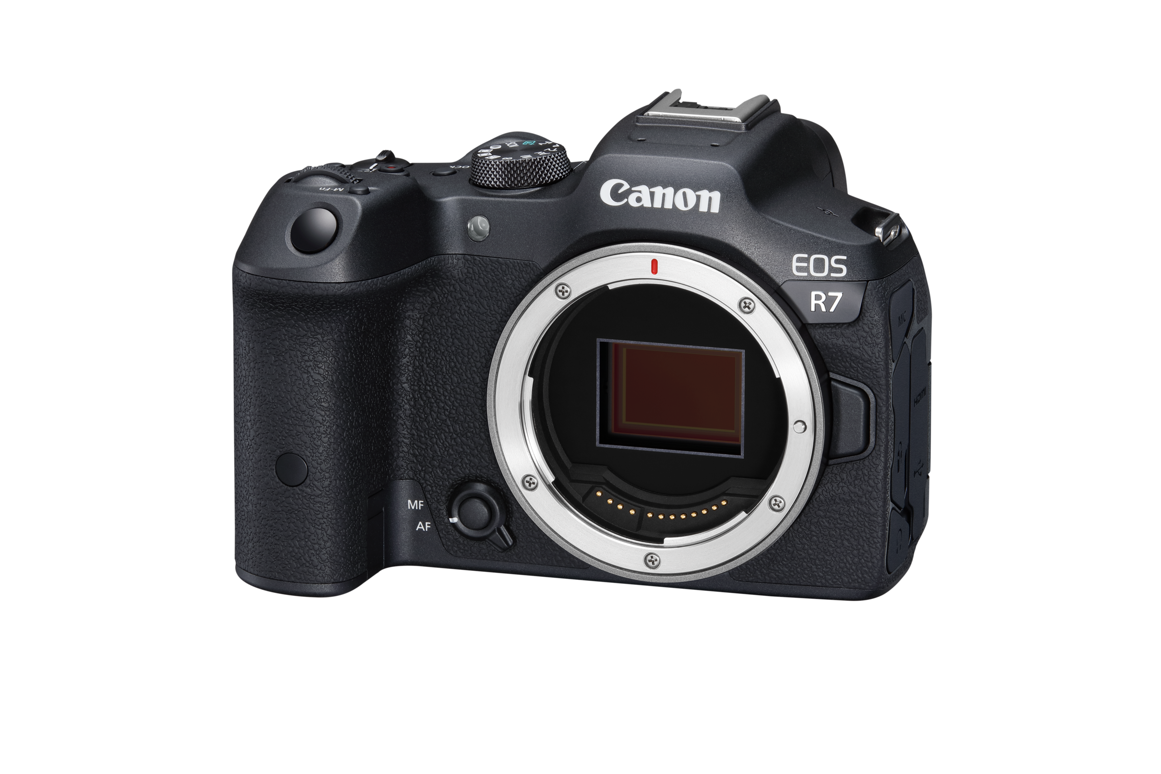 Canon EOS R7 body - Foto Kino Linders