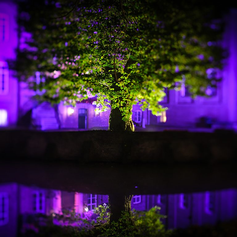 Lees meer over het artikel Eric test de TTartisan 35mm F1.4 Tilt lens