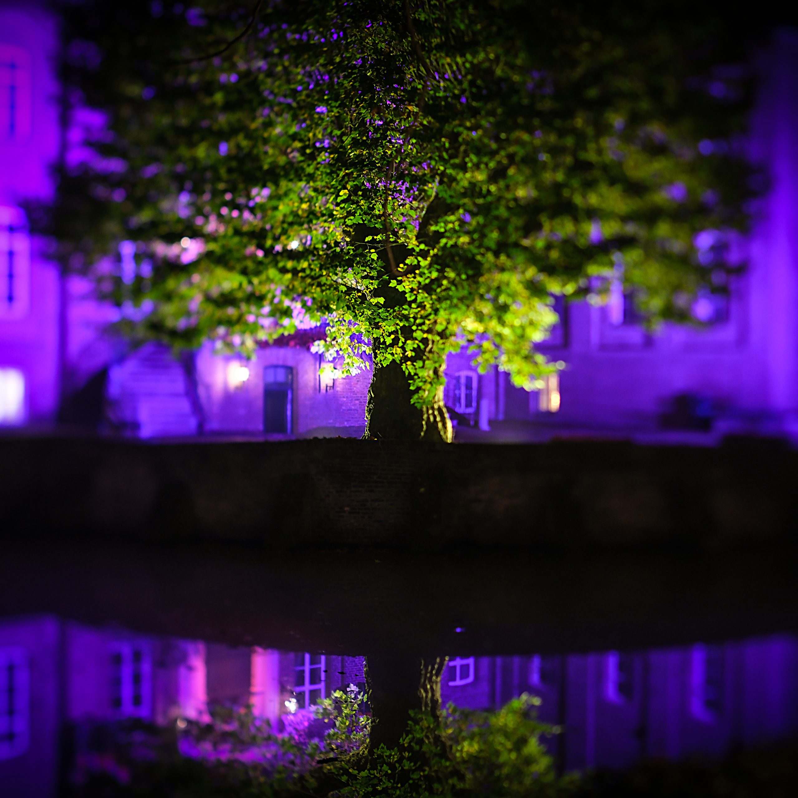 Lees meer over het artikel Eric test de TTartisan 35mm F1.4 Tilt lens