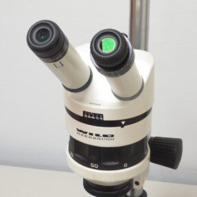 OCCASION: WILD Heerbrugg M5A Stereo Microscoop